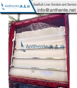 PBT Plastic/Resin SeaBulk Liner Solution And Service