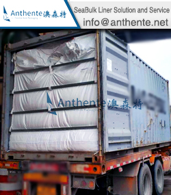 Nylon Resin Bulk Packaging Solution--Sea Bulk Liner