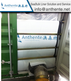 PE Resin PackagingTransportation--SeaBulk Liner