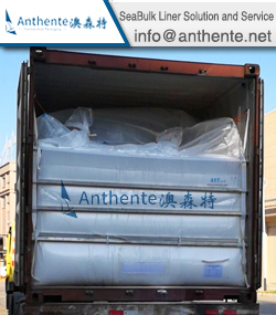 PE Elastmor/PE Resin SeaBulk Liner Solution