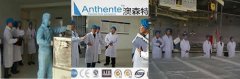 Japan Customer Visit And Audit Anthente Plant